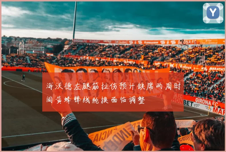 海沃德左腿筋拉伤预计缺席两周时间黄蜂锋线轮换面临调整
