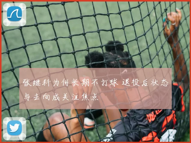 张继科为何长期不打球 退役后状态与去向成关注焦点